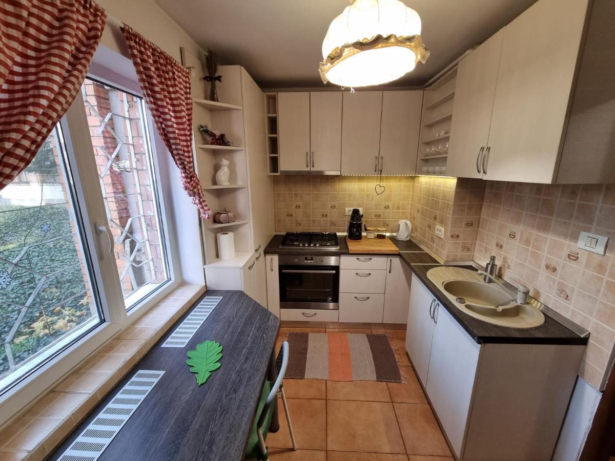 טימישוארה Bastion Apartment מראה חיצוני תמונה